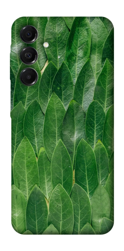 Чохол на Samsung Galaxy A17 4G/5G Листя фото 1 з 1