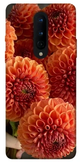 Чохол на OnePlus 8 Flower1 фото 1 з 1