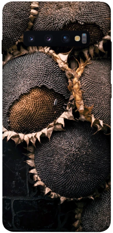 Чохол на Samsung Galaxy S10+ Dreams2 фото 1 з 1