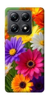 Чехол на Xiaomi 14T Pro Flowers v32 фото 1 из 1