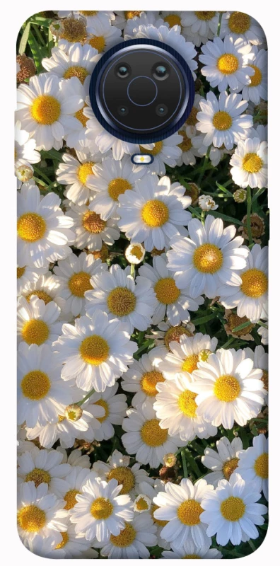 Чохол на Nokia G20 / G10 / 6.3 Поле ромашок фото 1 з 1