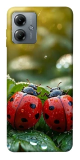Чохол на Motorola Moto G14 Flowers v23 фото 1 з 1