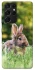Чехол на Samsung Galaxy S21 Ultra Кролики фото 1 из 1