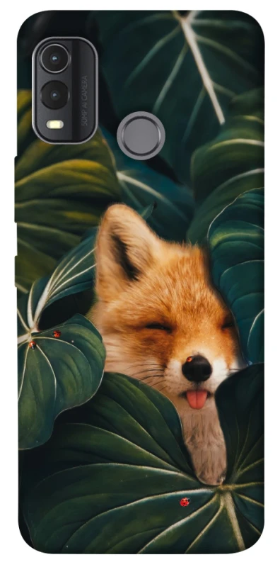 Чохол на Nokia G11 Plus Fox фото 1 з 1