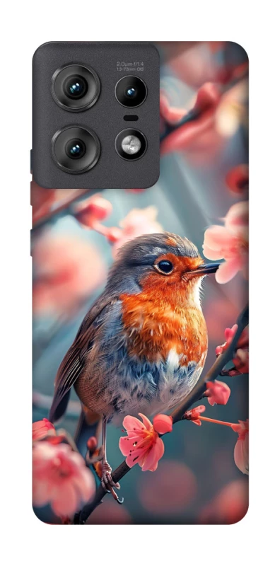 Чехол на Motorola Edge 50 Pro Birdie фото 1 из 1