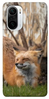 Чехол на Xiaomi Redmi K40 / K40 Pro / K40 Pro+ / Poco F3 Лиса фото 1 из 1