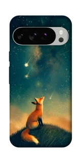 Чехол на Google Pixel 10 Pro Sky fox фото 1 из 1