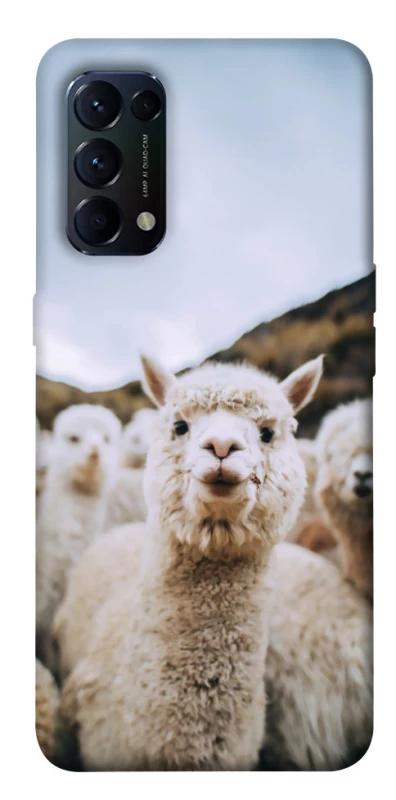 Чохол на Oppo Reno 5 4G Лама фото 1 з 1