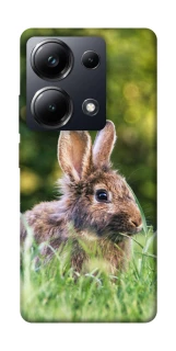 Чехол на Xiaomi Poco M6 Pro 4G Кролики фото 1 из 1