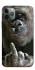 Чохол на Apple iPhone 11 Pro (5.8") Surprise фото 1 з 1