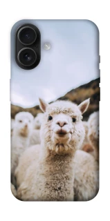 Чехол на Apple iPhone 16 Лама фото 1 из 1