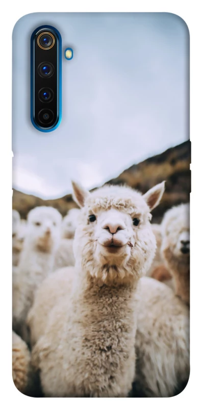Чехол на Realme 6 Pro Лама фото 1 из 1