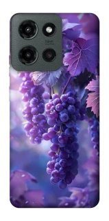 Чехол на Motorola Moto G Power (2025) Bunch of grapes фото 1 из 1