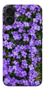 Чехол на Apple iPhone 16 Plus Flowers v17 фото 1 из 1