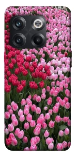 Чохол на OnePlus 10T Flowers v9 фото 1 з 1