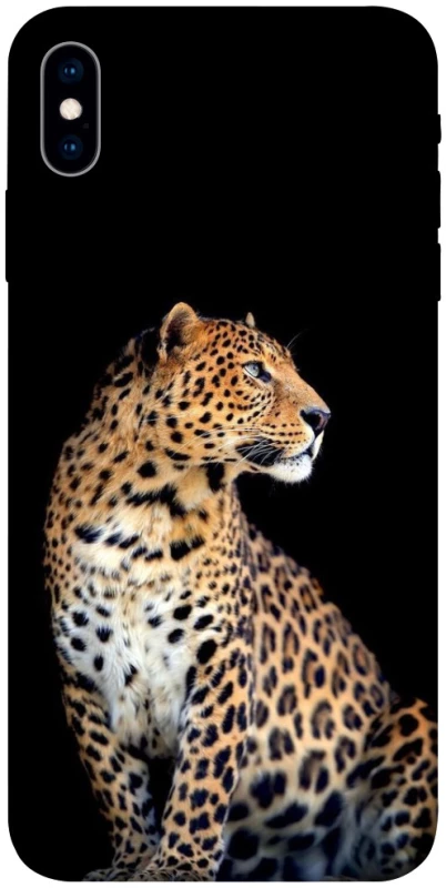 Чехол на Apple iPhone X (5.8") Leopard v2 фото 1 из 1