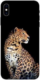 Чохол на Apple iPhone X (5.8") Leopard v2 фото 1 з 1