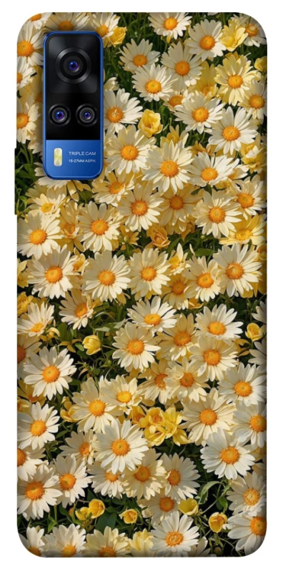 Чохол на Vivo Y51a Camomile фото 1 з 1