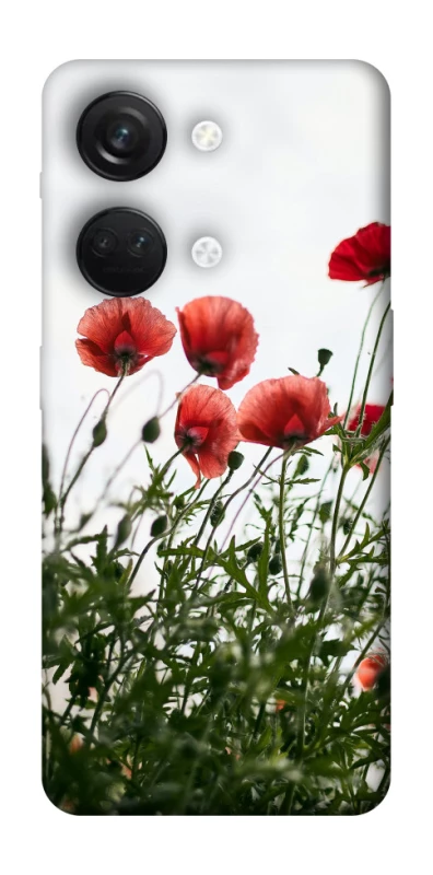 Чохол на OnePlus Nord 3 Поле маків фото 1 з 1