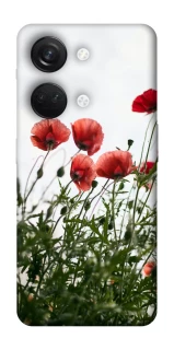 Чохол на OnePlus Nord 3 Поле маків фото 1 з 1