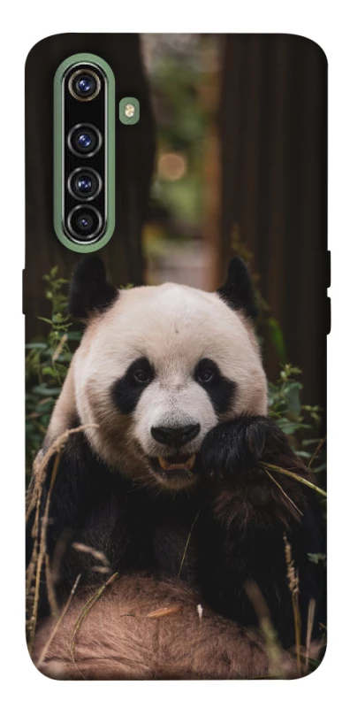 Чохол на Realme X50 Pro Панда фото 1 з 1