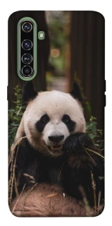 Чехол на Realme X50 Pro Панда фото 1 из 1