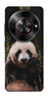 Чохол на ZTE Nubia Focus Панда фото 1 з 1