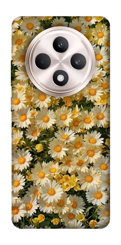 Чехол на Oppo Reno 12 F 4G/5G Camomile фото 1 из 1