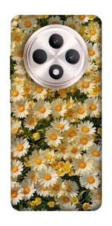 Чехол на Oppo Reno 12 F 4G/5G Camomile фото 1 из 1