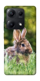 Чехол на Xiaomi Redmi Note 14S Кролики фото 1 из 1