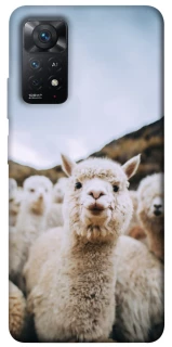 Чохол на Xiaomi Redmi Note 12 Pro 4G Лама фото 1 з 1