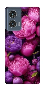 Чехол на Motorola Edge 50 Garden2 фото 1 из 1