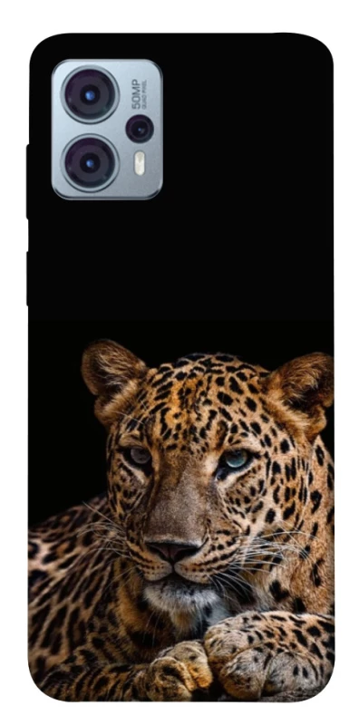 Чохол на Motorola Moto G23 Leopard v4 фото 1 з 1