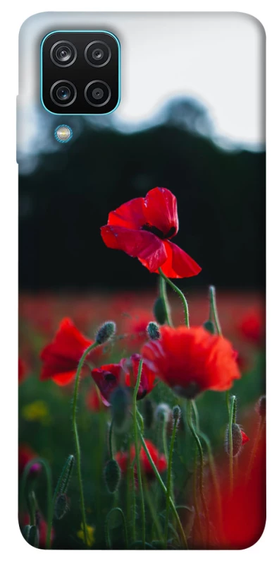 Чехол на Samsung Galaxy M12 Мак фото 1 из 1