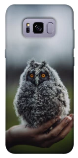 Чохол на Samsung G955 Galaxy S8 Plus Совеня фото 1 з 1