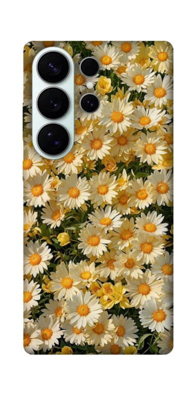 Чохол на Samsung Galaxy S26 Camomile фото 1 з 1
