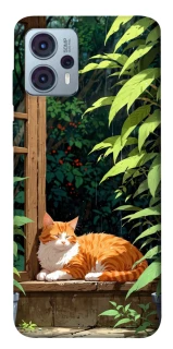 Чохол на Motorola Moto G23 red cat фото 1 Чохол на Motorola Moto G23 red cat фото 1 з 1