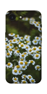 Чохол на Apple iPhone 17e (6.1") Ромашки v13 фото 1 з 1