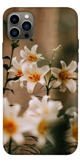 Чохол на Apple iPhone 12 Pro (6.1") Лілії фото 1 з 1
