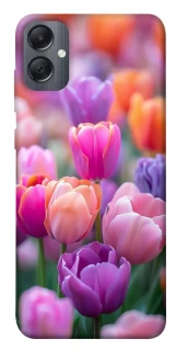 Чохол на Samsung Galaxy A05 Тюльпанове поле фото 1 з 1