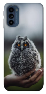 Чохол на Motorola Moto G41 Совеня фото 1 з 1