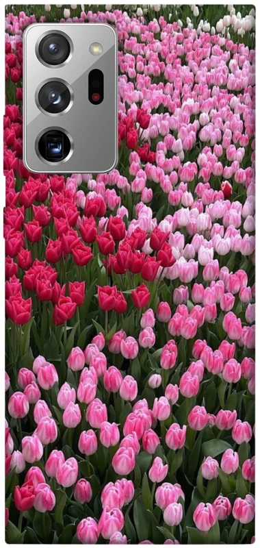 Чехол на Samsung Galaxy Note 20 Ultra Flowers v9 фото 1 из 1