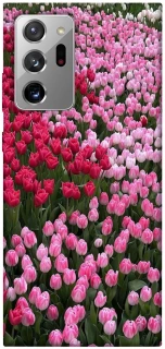 Чехол на Samsung Galaxy Note 20 Ultra Flowers v9 фото 1 из 1