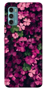Чохол на Motorola Moto G60 Flowers v7 фото 1 з 1