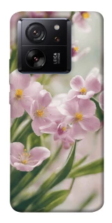 Чехол на Xiaomi 13T Spring фото 1 из 1