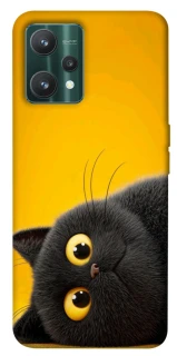 Чохол на Realme 9 Pro This is Cat фото 1 з 1