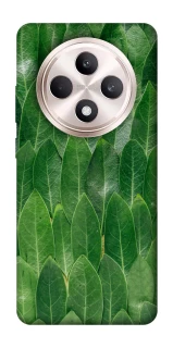 Чехол на Oppo Reno 12 F 4G/5G Листья фото 1 из 1