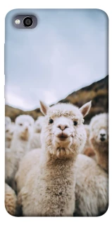 Чохол на Xiaomi Redmi 4a Лама фото 1 з 1