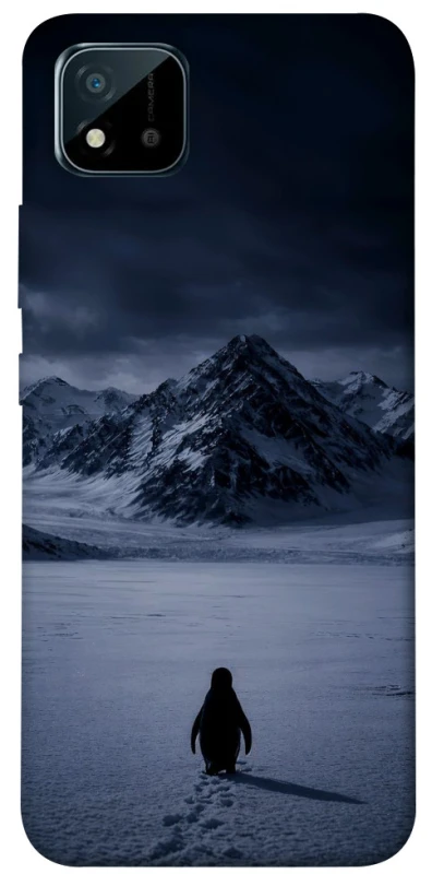 Чехол на Realme C11 (2021) But why? фото 1 из 1