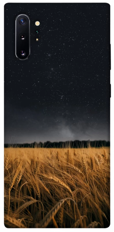 Чехол на Samsung Galaxy Note 10 Plus grain фото 1 из 1